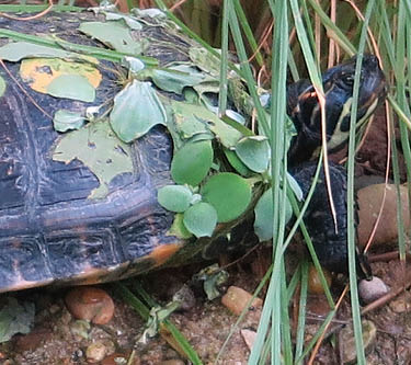 Planet Wissen Wie Meditation Das Gehirn Umbaut Youtube Planet Wissen Wie Meditation Das Gehirn Umbaut Youtube