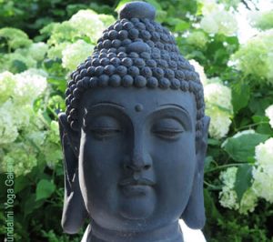 Kundalini Yoga Münster Buddha Gehirn