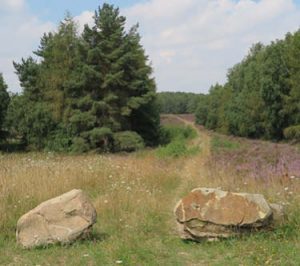 Kundalini Yoga Galerie Münster Steine auf dem Weg
